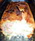 Cake aux saucisses