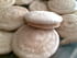 Biscuits croquants � la r�glisse