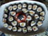 Makis