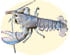 Homard