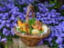 Wok de saumon et petits l�gumes