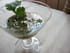 Pesto de coriandre