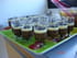 Verrine trio de mousses