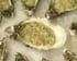 Tartare d hu�tres et de noix de Saint-Jacques