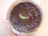 Pots de cr�me au chocolat