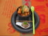 Wok d espadon et poivron piment� au gingembre et soja