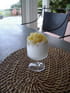 Mousse au fromage blanc et aux pommes caram�lis�es