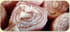 Rouleaux de jambon � la cr�me de raclette