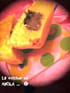 Brioch�es fourr�es au chocolat