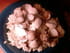 Risotto aux coques