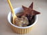 Compote de pommes aux amandes, �toiles � cannelle