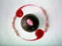 D�me de chocolat, mousse  fraise et pralines roses