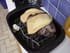 Cuissot de sanglier aux pommes de terre et c�pes