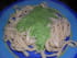 P�tes fra�ches et leur  sauce verte