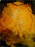 Pur�e carottes-ricotta