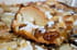 Clafoutis mirabelles et poires � la cannelle