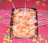 Roulades de saumon fum�
