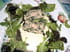Terrine de saumon aux �pinards