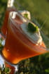 �les flottantes au cumin sur cr�me de carottes