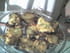 Sardines � la brousse
