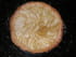 Tarte aux pommes cr�meuse