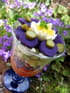 Pi�montaise violette