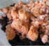 Crumble de myrtilles aux biscuits roses de Reims