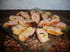 Bouch�es aux olives et amandes