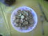 Courgettes aux oeufs brouill�s