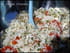 Taboul� de chou-fleur cru aux deux tomates