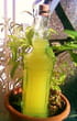 Limoncello