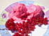 Sorbet � la groseille