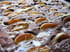 Brownies aux abricots