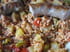 Po�l�e de l�gumes d �t� au quinoa