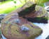 G�teau choco-pistaches