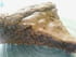 G�teau chocolat -amandes