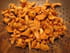 Girolles po�l�es