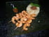 Risotto au pesto rouge et gambas au s�same