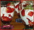 Verrines aux fraises et mascarpone