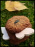 Cookies sur un air d automne