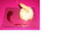Dessert minceur � la poire