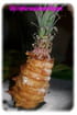 Beignets d ananas au gingembre