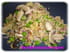 Boulghour aux champignons, lardons et petits pois
