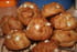 Chouquettes tonka