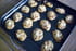 Palmiers au comt�