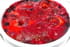 Framboises et myrtilles en cr�me br�l�e