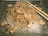 Poulet aux cinq-�pices