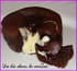 Coulant aux deux chocolats