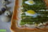 Tatin d asperges aux fromages