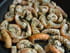 Langoustines po�l�es aux herbes de Provence et au romairin